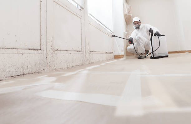 Post-remediation clearance in Tualatin