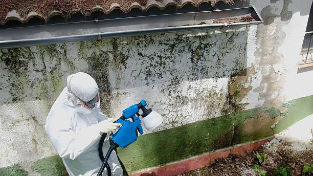 Mold Removal service in Tualatin